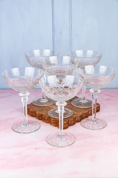 Vintage Champagne Coupes - Set of 6