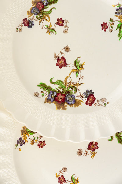Vintage Copeland Spode Dinner Plate Set