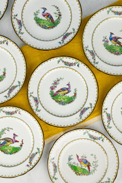 Antique Copeland Spode "Vienna Bird" Plates - Set of 8