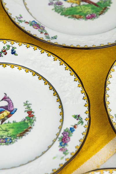 Antique Copeland Spode "Vienna Bird" Plates - Set of 8
