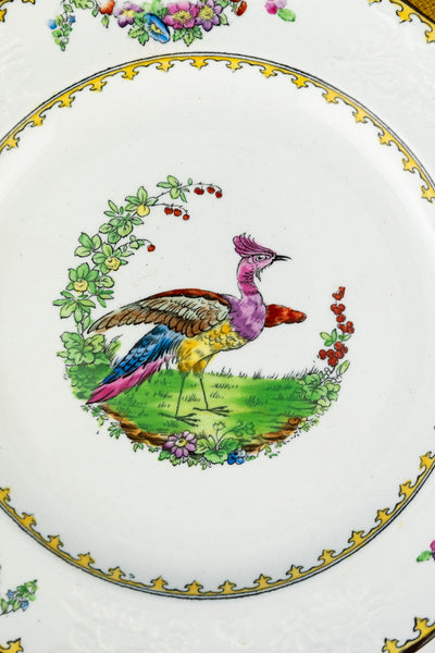 Antique Copeland Spode "Vienna Bird" Plates - Set of 8