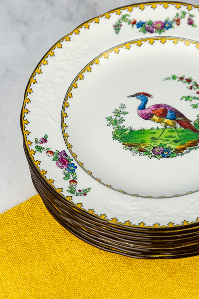 Antique Copeland Spode "Vienna Bird" Plates - Set of 8