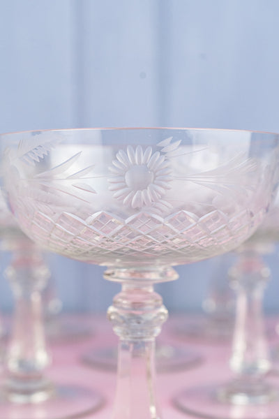 Vintage Crystal Champagne Coupes - Set of 8