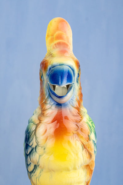 Vintage French St. Clément Cockatoo Pitcher
