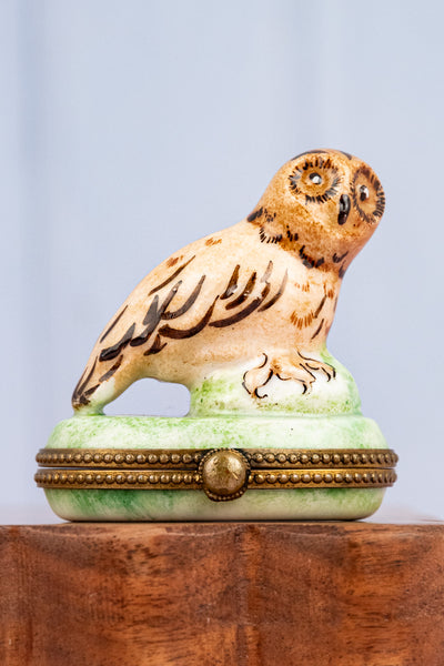 Vintage Limoges Owl Trinket Box