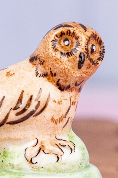Vintage Limoges Owl Trinket Box