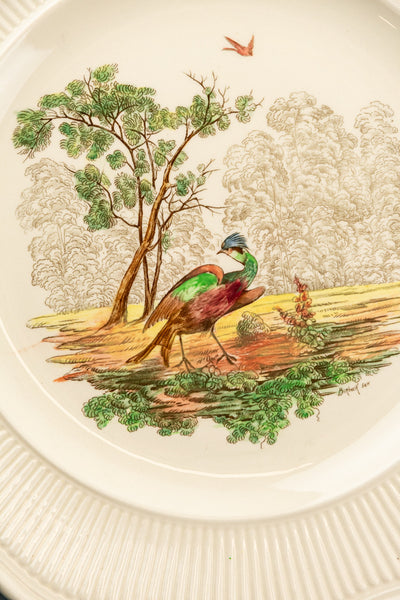 Vintage Royal Doulton "Birbeck Print" Dinner Plate Set - 15 Pieces
