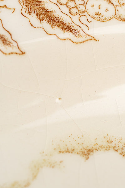 Vintage Turkey Platter