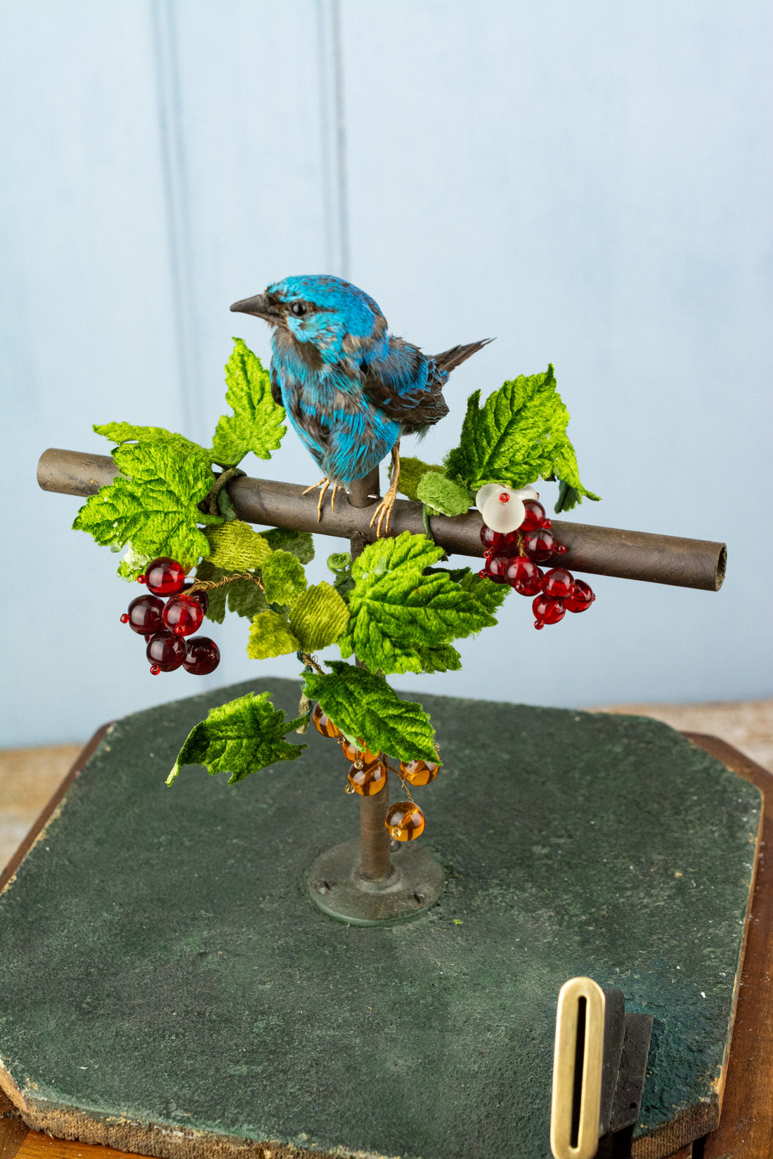 Antique French Singing Bird Automaton, image 10 of 26