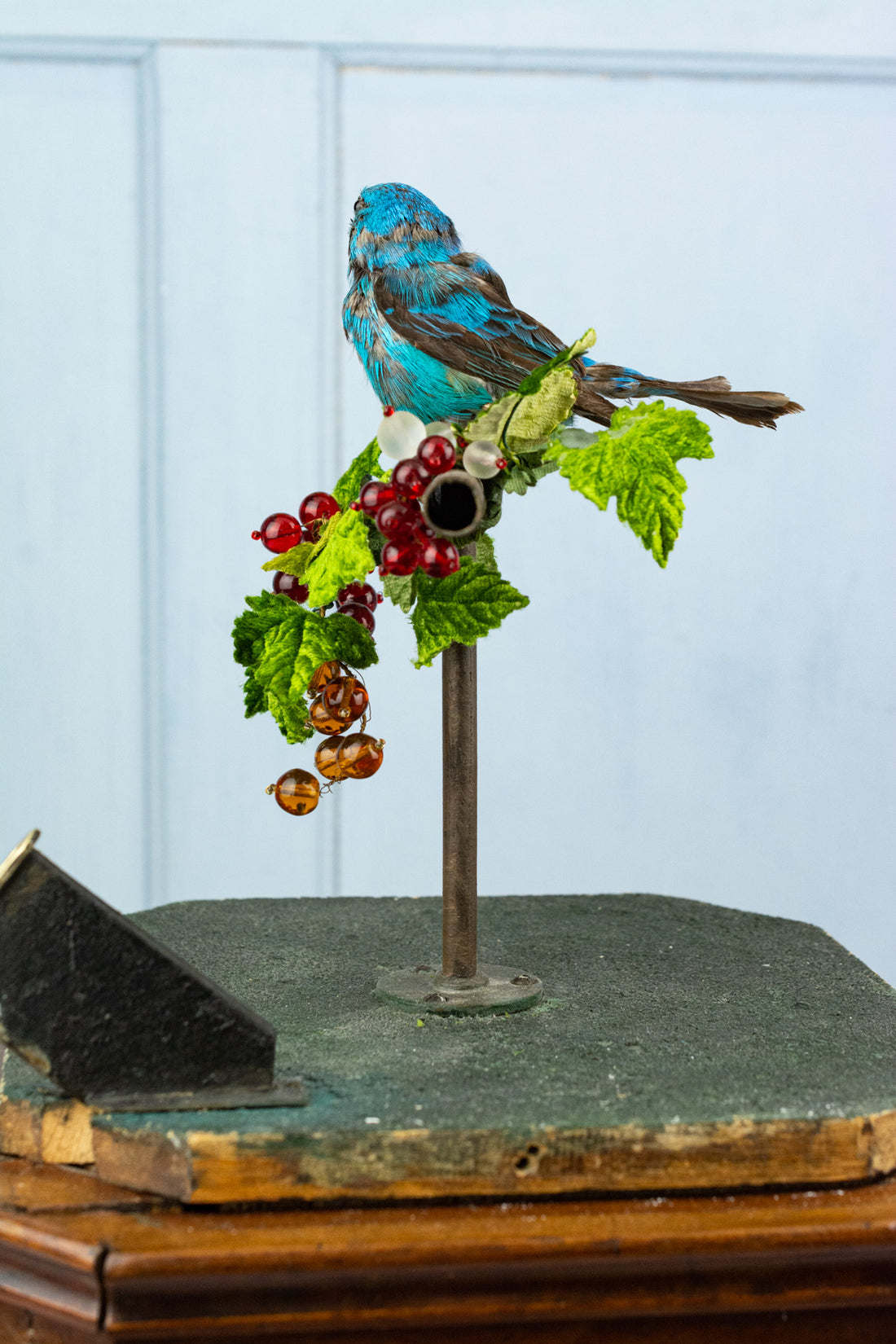 Antique French Singing Bird Automaton, image 11 of 26