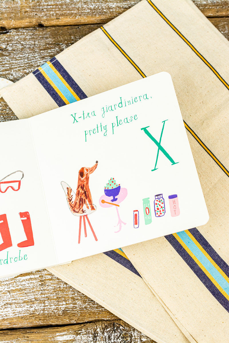 Chicago ABCs Board Book