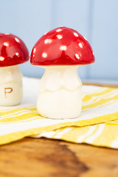 Hand-Painted Ceramic Mushroom Salt & Pepper Set