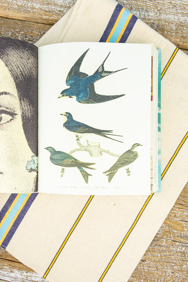 John Derian Decoupage and Sticker Sourcebook, image 10 of 17
