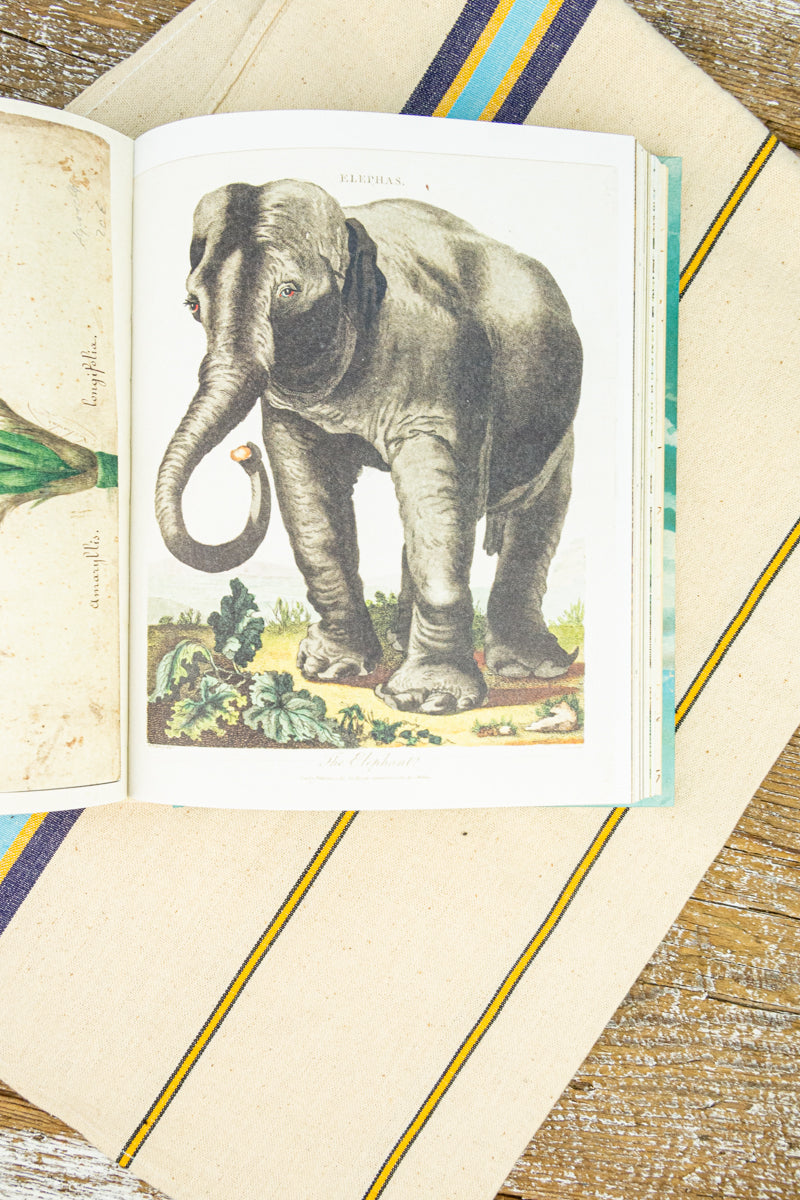 John Derian Decoupage and Sticker Sourcebook, image 12 of 17