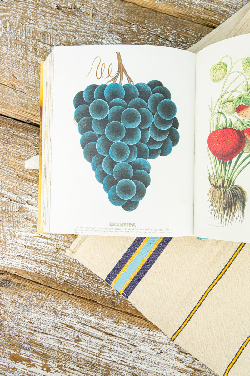 John Derian Decoupage and Sticker Sourcebook, image 15 of 17