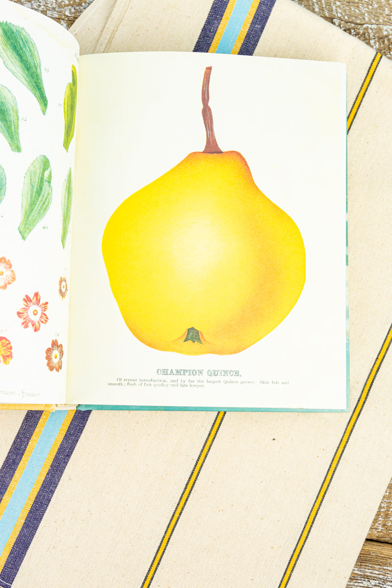 John Derian Decoupage and Sticker Sourcebook, image 5 of 17