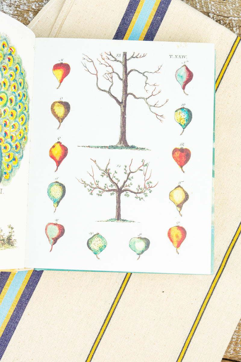 John Derian Decoupage and Sticker Sourcebook, image 6 of 17
