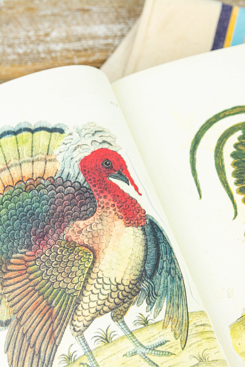 John Derian Decoupage and Sticker Sourcebook, image 7 of 17