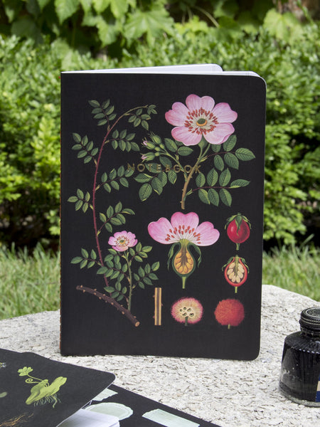Black Botanical Notebooks - Set of 3
