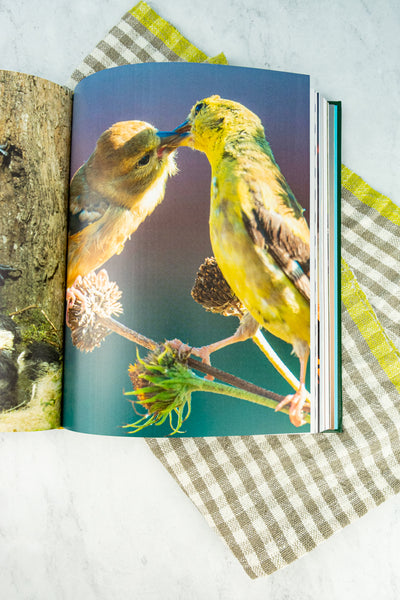 The Backyard Birdwatcher's Bible